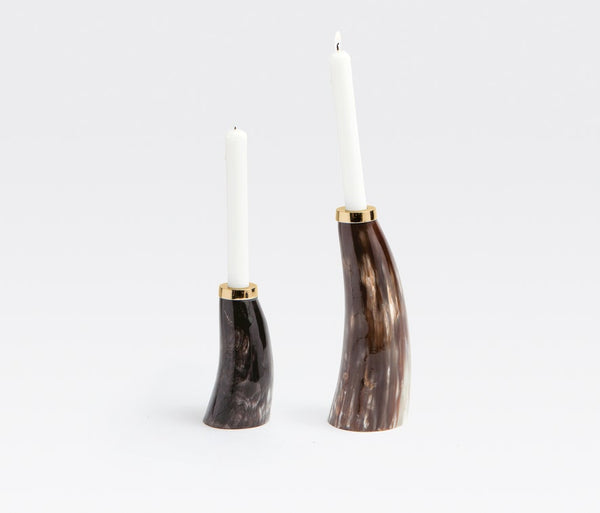 Blue Pheasant Brian Candle Holders