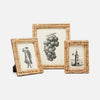 Three decorative picture frames with printed images on a white background