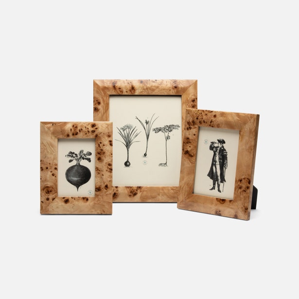 Pigeon and Poodle Narvik Frame
