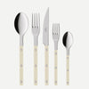 Set of silver cutlery with beige handles on a white background