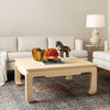 Living room with beige coffee table, decorative items, and two sofas.