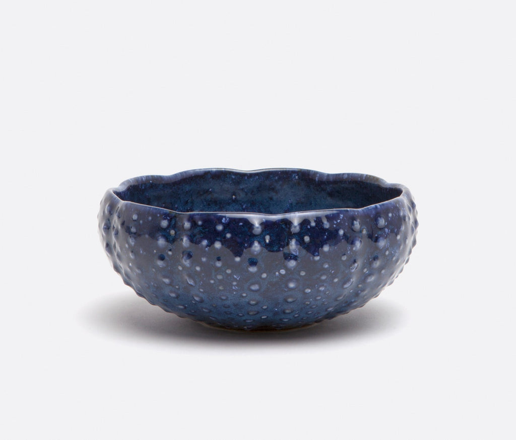 Blue Pheasant Isla Spotted Navy Pasta/Soup Bowl (Pack of 4)