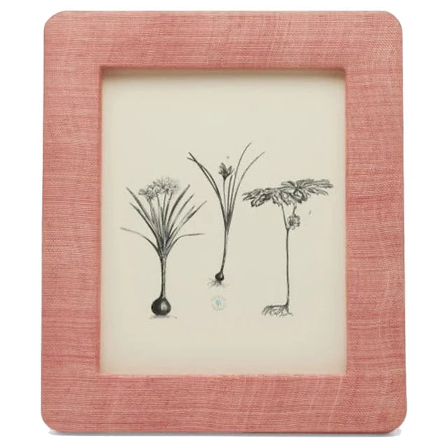 Halle Silken Abaca Picture Frame - Vintage Rose
