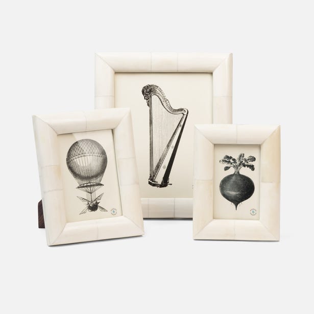 Pigeon and Poodle Vannes Frame