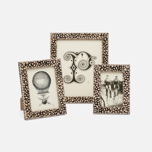 Pigeon and Poodle Hana Baby Cheetah Frame 5"x7"