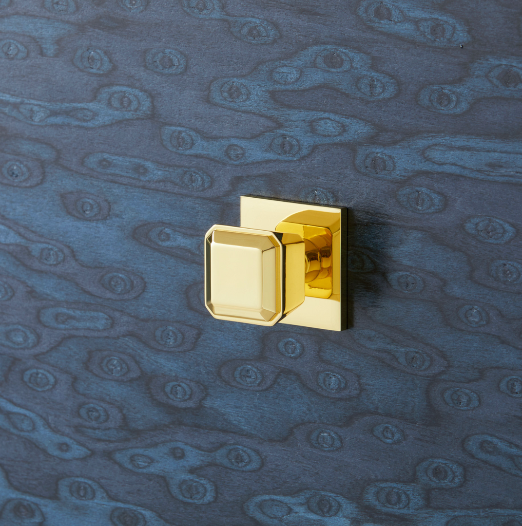 Villa & House Polished Brass Aline Pull