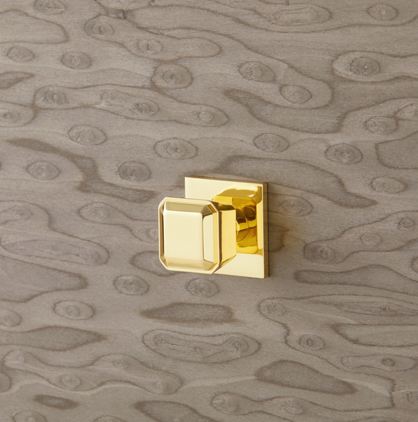 Villa & House Polished Brass Aline Pull