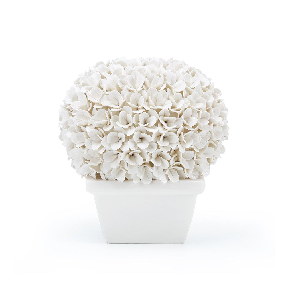 Villa & House Boston Round Boxwood