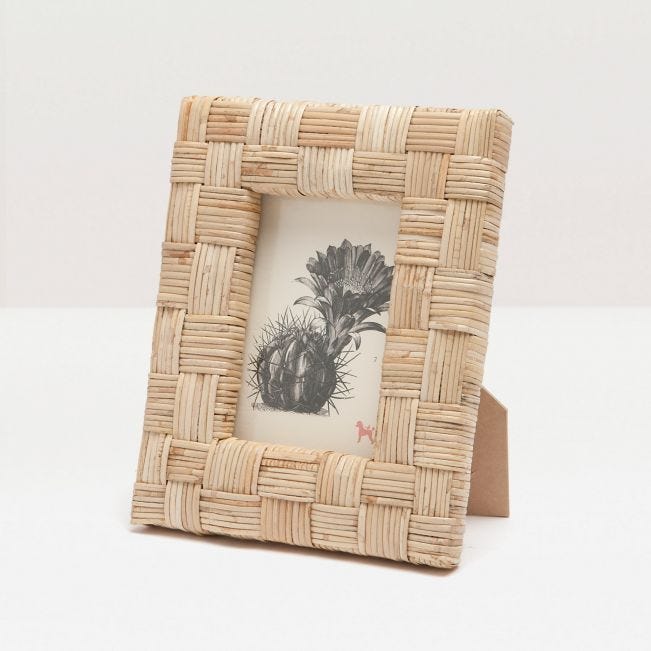 Pigeon and Poodle Genova Frame