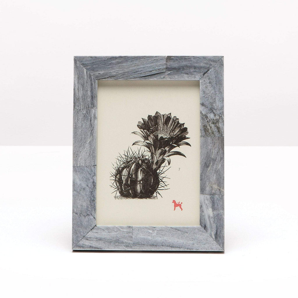 Pigeon and Poodle Prato Frame