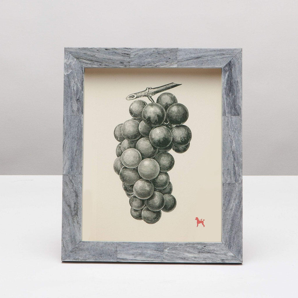 Pigeon and Poodle Prato Frame